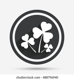 Clovers with three leaves sign icon. Saint Patrick trefoil shamrock symbol. Circle flat button with shadow and border. Vector