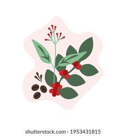 Cloves and coffee vector illustration