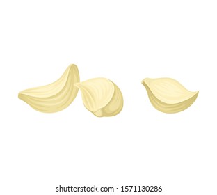 Cloves of Garlic Isolated On White Background Vector Items
