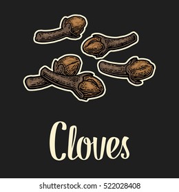Cloves. Isolated on dark background. Vector color vintage engraving illustration. Hand drawn design element and lettering for label and poster