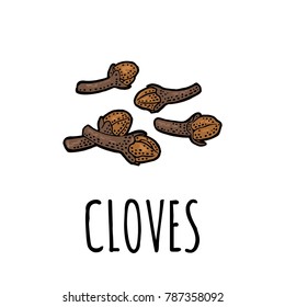 Cloves. Isolated on white background. Vector black vintage engraving illustration. Hand drawn design element for label and poster