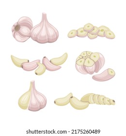 Cloves and pieces of garlic vector illustrations set. Collection of cartoon drawings of whole, slices and chopped spicy vegetable for seasoning isolated on white background. Food, cooking concept