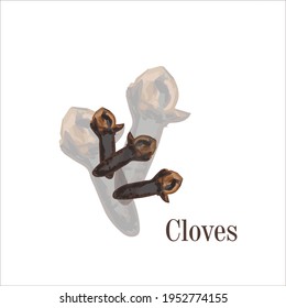 cloves. Spice sticker. India. masala. picture. watercolor. print kitchen. to cook. vector eps 10