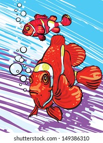 Clown Fish 