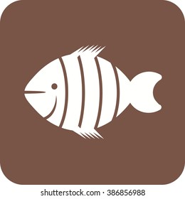 Clown Fish