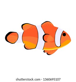 Clown fish. Amphiprioninae icon isolated on white background