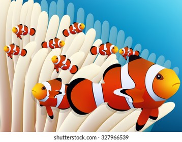 clown fish and anemone in blue sea vector image