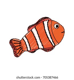 Clown fish animal