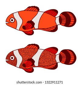 Clown fish. Decorative, in two versions. Cute illustration