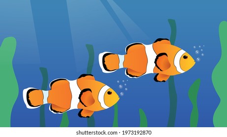 Clown fish foaming from its mouth decorated with blue green seaweed on a background 