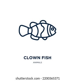 Clownfischsymbol aus der Tiersammlung. Dünne lineare Clownfische, Fische, Tierumrisssymbol einzeln auf weißem Hintergrund. Zeilenvektorclown, Symbol für Web und Mobilfunk