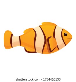 Clown fish icon. Cartoon of clown fish vector icon for web design isolated on white background