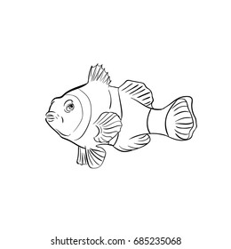 Clown fish icon vector 