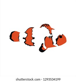 clown fish illustration