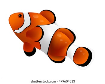 Clown Fish Isolated On White Background. Vector Illustration