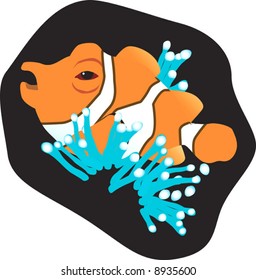 a clown fish in a lagoon	