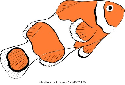 Clown fish line art vector illustration. Hand drawn doodle.  