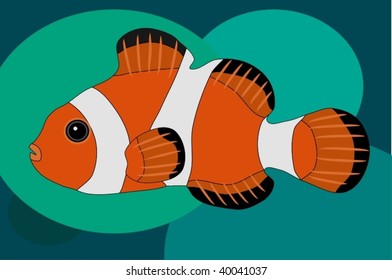 Clown fish on Background vector