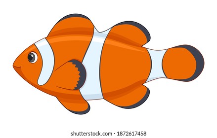 Clown fish on a white background. Cartoon style vector illustration