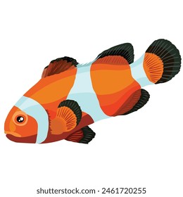 clown fish in orange and white colors, cartoon illustration, isolated object on white background, vector, eps