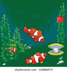 Clown fish and a pearl in the shell on a green background.