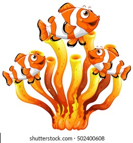 Clown fish swimming around coral reef illustration