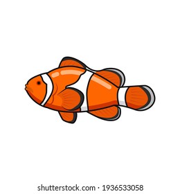 Clown Fish Vector Art And Graphics