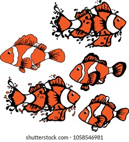 a clown fish, vector illustration