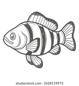 Clown Loach Fish Outline Vector Illustration