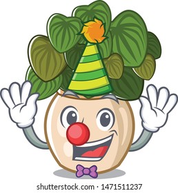 Clown peperomia with in the cartoon shape