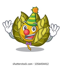 Clown physalis fruit in the cartoon shape