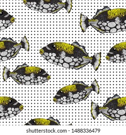 clown trigger fish with polka dots background