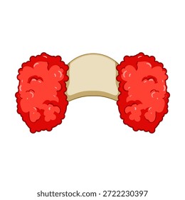 Clown wig presenting two large fluffy red puffs attached to a curved beige band, an iconic symbol for humor, circus, and entertainment, isolated on a white background