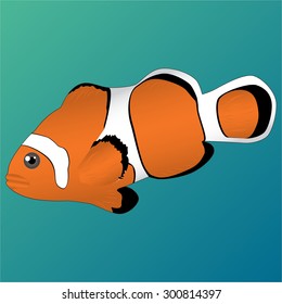 Clown-fish