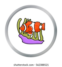 Clownfish and anemone icon in cartoon style isolated on white background. Australia symbol stock vector illustration.