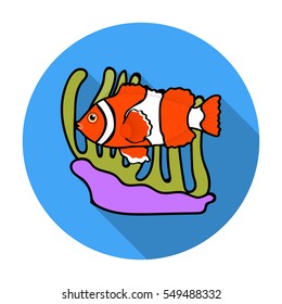 Clownfish and anemone icon in flat style isolated on white background. Australia symbol stock vector illustration.