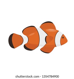 Clownfish, Anemonefish. Isolated Vector Illustration