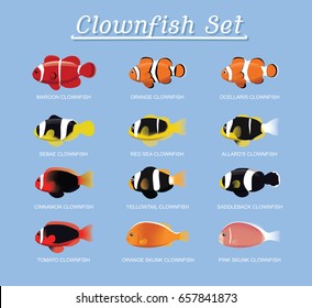 Clownfish Anemonefish Set Cartoon Vector Illustration
