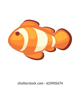Clownfish or anemonefish vector illustration isolated on white background