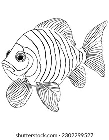 Clownfish Coloring Page Outline Illustration For Children Coloring Book