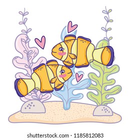 clownfish couple animal with seaweed plants