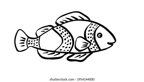 Clownfish graphic illustration. Smiling clown fish. Coloring page. Vector