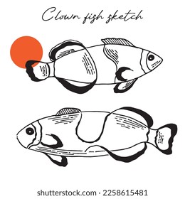 Clownfish graphic illustration. Smiling clown fish. Coloring page. Vector