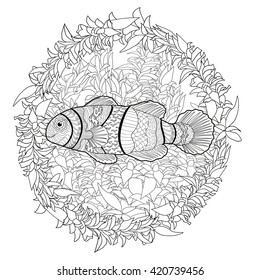 Clownfish with high details. 
