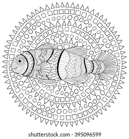 Clownfish with high details. Adult antistress coloring page. Black white hand drawn doodle oceanic animal. Sketch for tattoo, poster, print, t-shirt in zentangle style. Vector illustration.