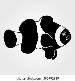 Clownfish icon isolated on white background.