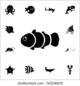 clown-fish icon. Set of cute aquatic animal icons. Web Icons Premium quality graphic design. Signs, outline symbols collection, simple icons for websites, web design, mobile app on white background