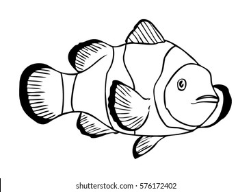 370 Nemo fish vector Images, Stock Photos & Vectors | Shutterstock
