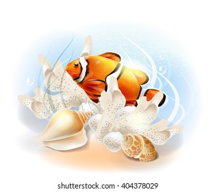 Clownfish in the sea. Illustration of the tropical underwater world. Aquarium fish.