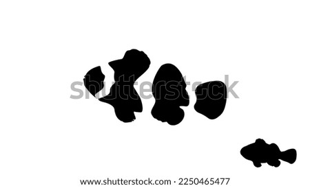 Clownfish silhouette, high quality vector